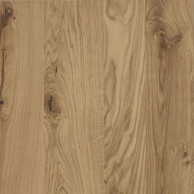Rovere Nodoso Chiaro (799)