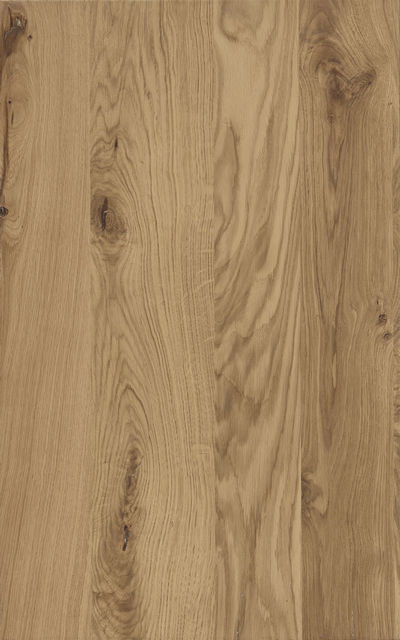 Rovere Nodoso Chiaro