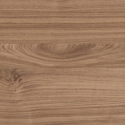 Tinto Noce Nodoso (446)