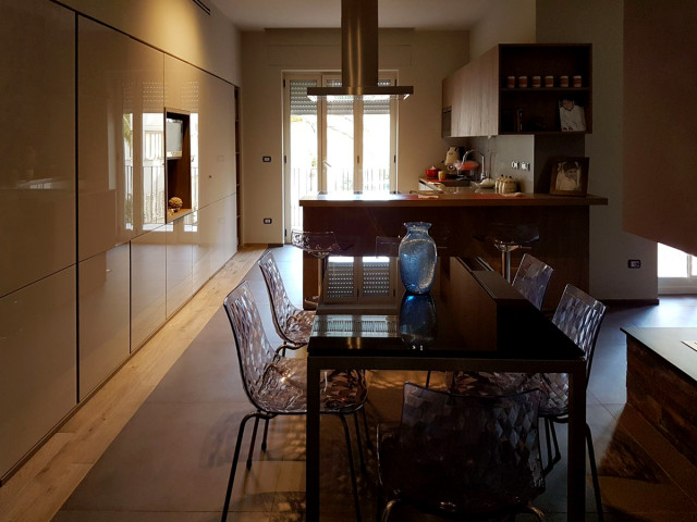 The project of Ileana