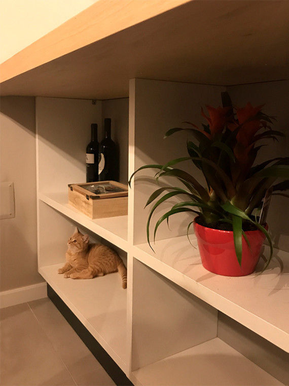 The project of Amelia | Kitchen: Start-Time.J