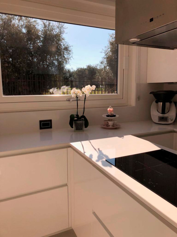 The project of Rita&Biagio | Kitchen: Oyster