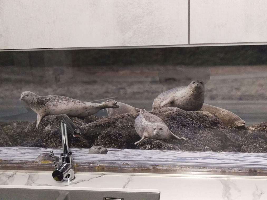 故事 Barbara&Cristian | 厨房: Oyster Decorativo