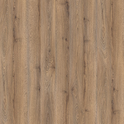 Tag Rovere Terra (693)