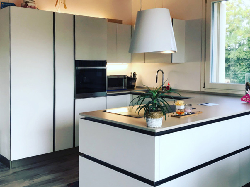 The project of Erica