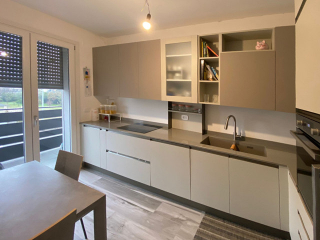 The project of Luisa