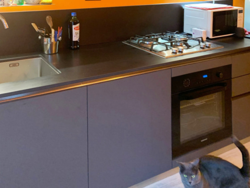 The project of Simona