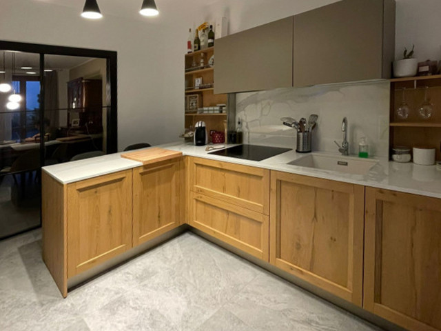 The project of Elena