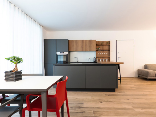 The project of Matteo 