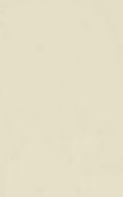 Chantilly Laccato Opaco 