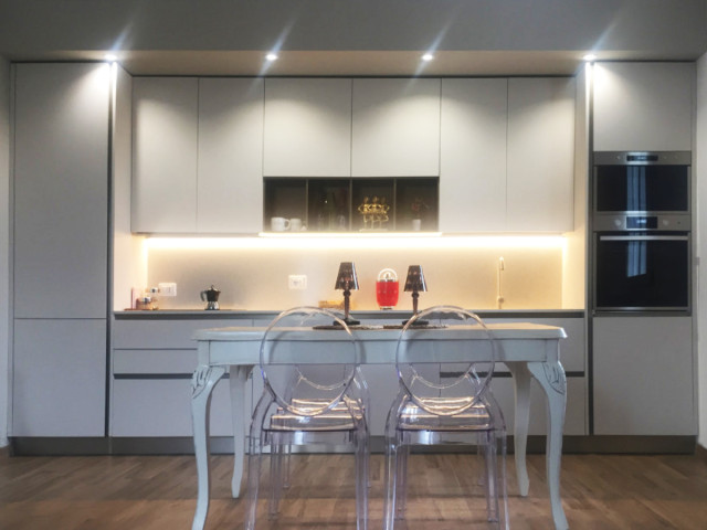 The project of Erika