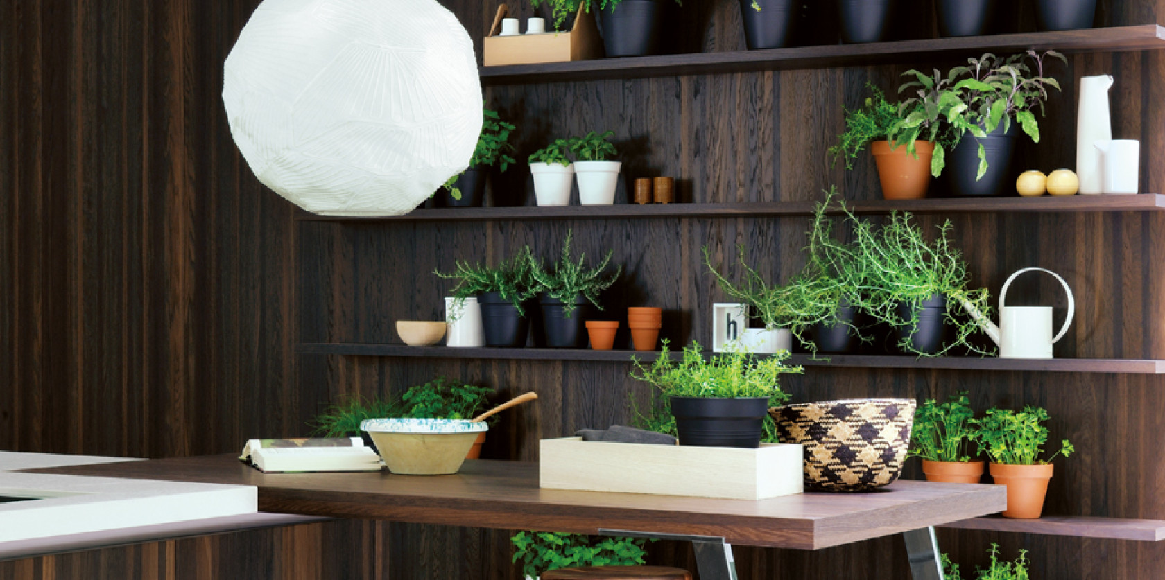 OYSTER - Il sapore di un progetto evoluto