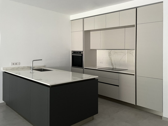 The project of Andrea