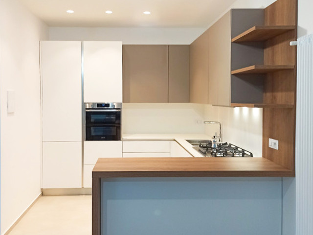 The project of Graziano