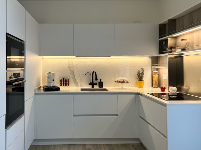 The project of Sandro 