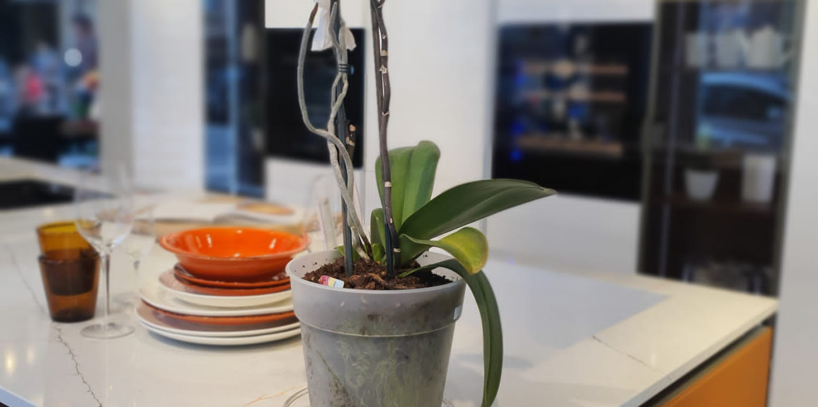 Lounge - Veneta Cucine