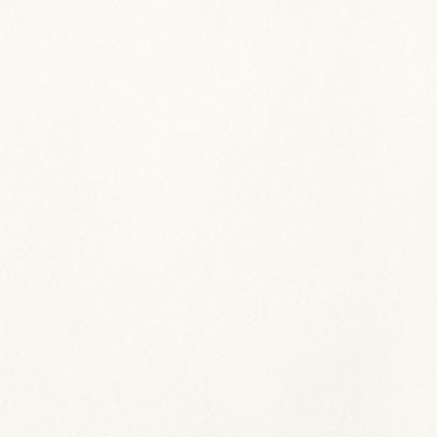 Bianco Polare Naturale (20mm) (C14)