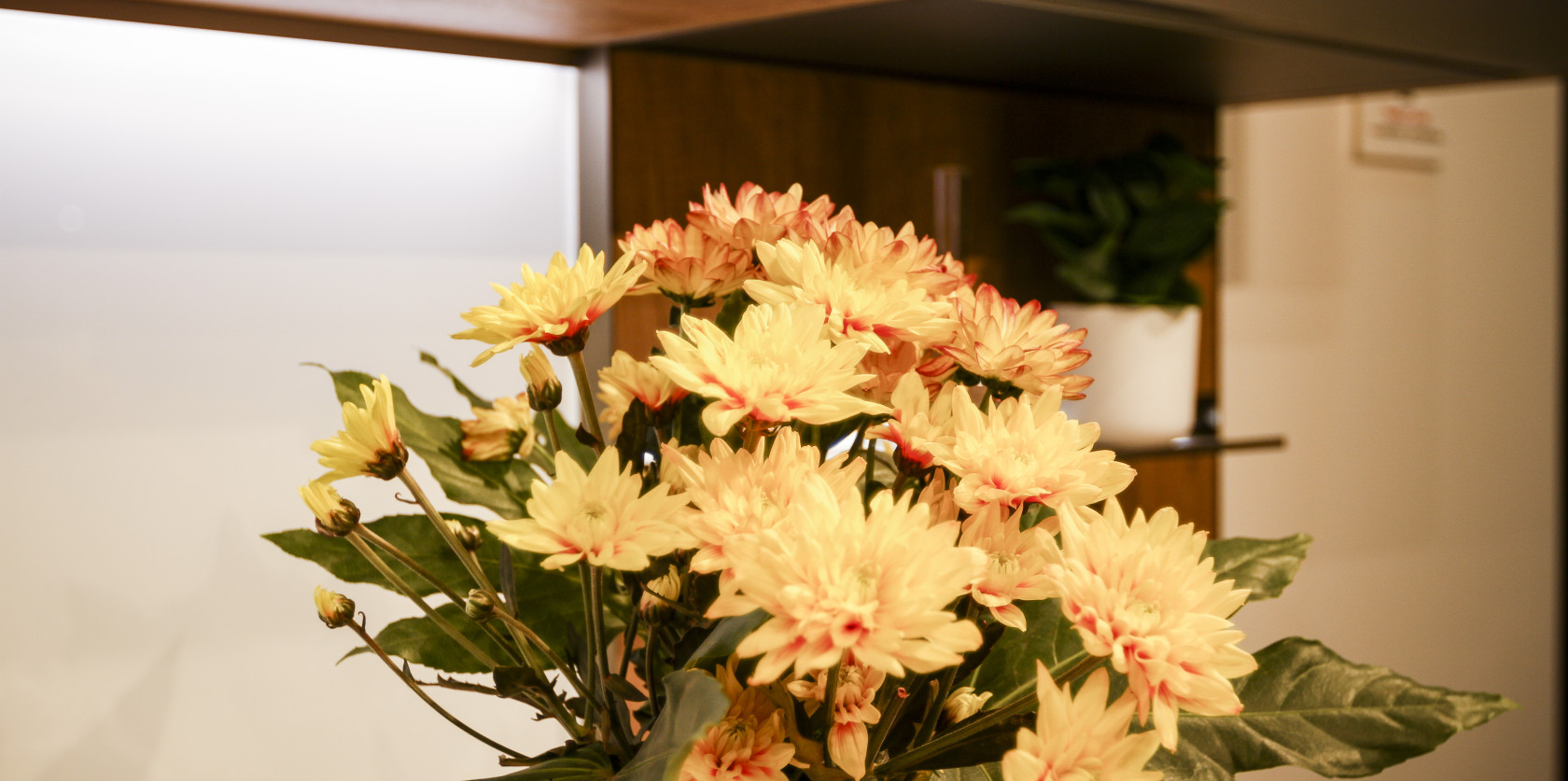 Veneta Cucine Oyster