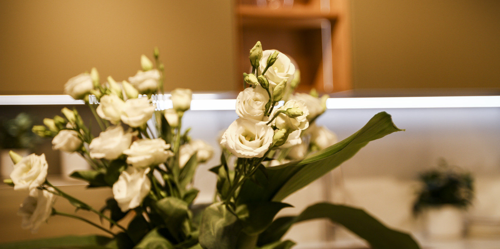 Veneta Cucine Milano