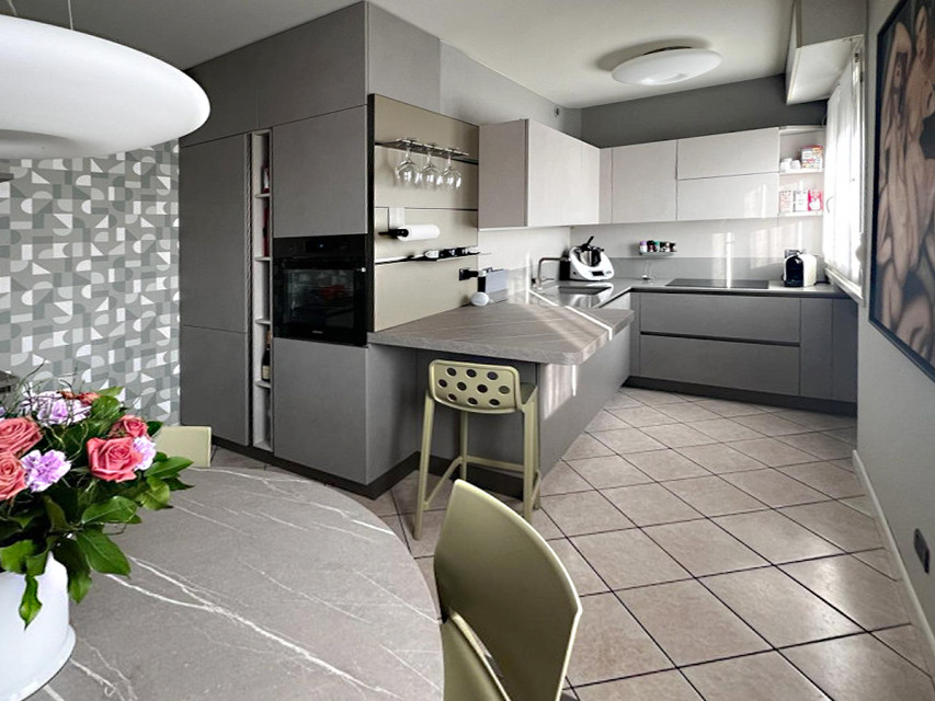 The project of Angelo