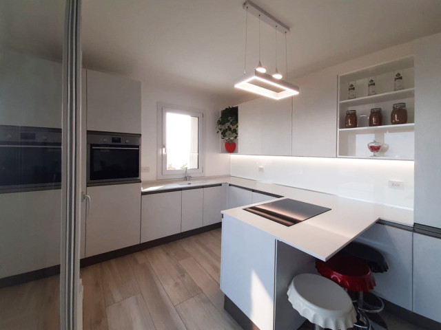 The project of Dario