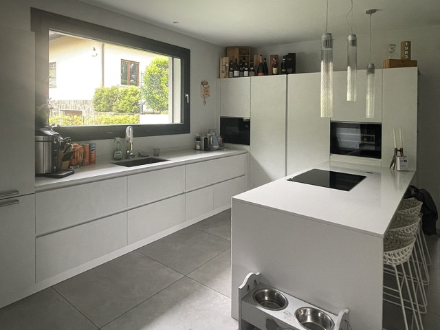 The project of Devid