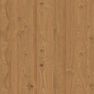 Tinto Noce Nodoso  (446)