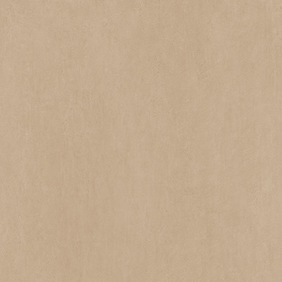 Palette Natural Dune (C90)