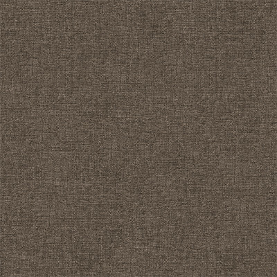 Pan. Marrone 403  (T7)