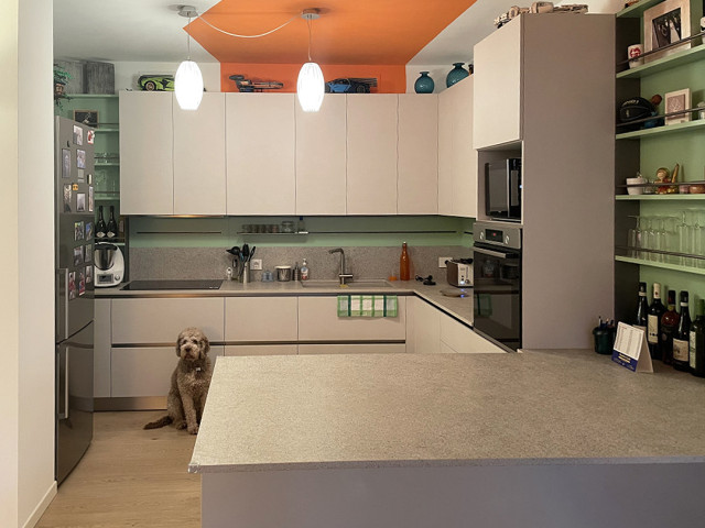 The project of Michela