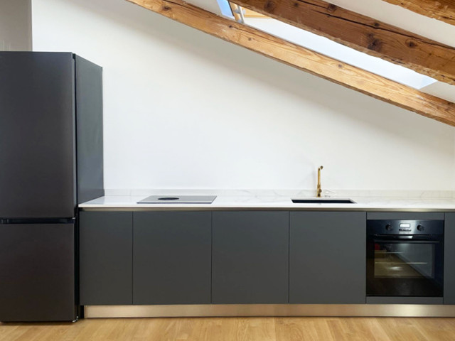 The project of Claudia