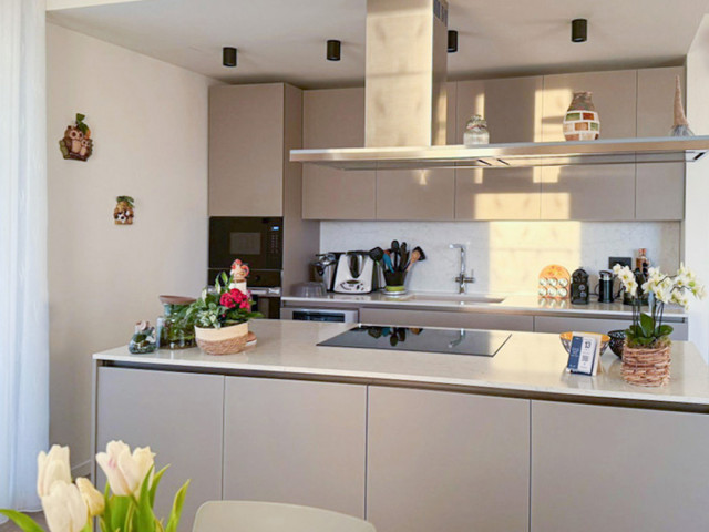 The project of Marco